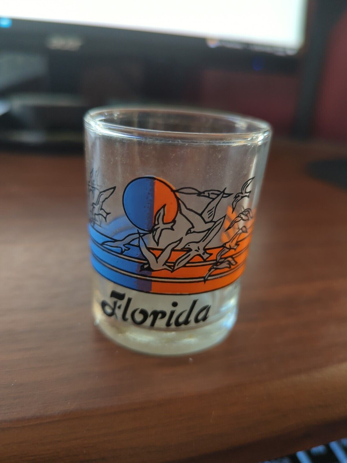 Florida seabirds Shot Glass NICE